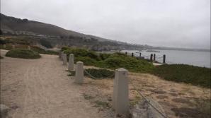 Paris visits the tide pools!